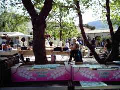 photo de les salles sur verdon marche de Provence