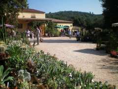 picture of Foire aux plantes dans les Vignes 2010