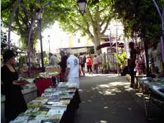 Foto LIVRES COLLECTIONS ARTISANAT D ART