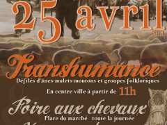 foto di Transhumance