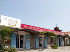 picture of LES CELLIERS DE RAMATUELLE OUVRENT LEURS PORTES