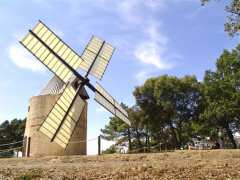 foto di VISITE DU MOULIN DE PAILLAS