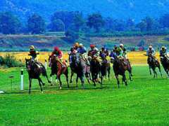 Foto Fête de l'hippodrome