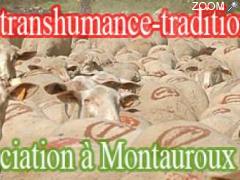 фотография de Fête de la Transhumance à Montauroux