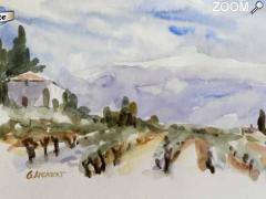 picture of Aquarelle en Provence