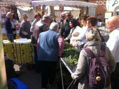 photo de fete de l OLIVEIROUN