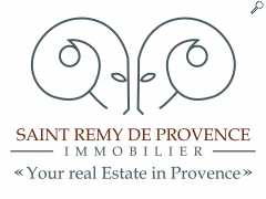 picture of saint remy de provence immobilier