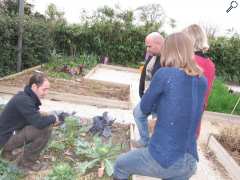 photo de EPICURIUM : Les Conseils du Jardinier