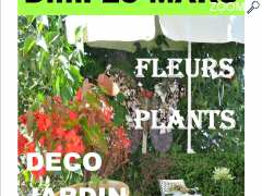 Foto marche aux fleurs plants deco jardin