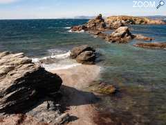 Foto Balade photo scientifique sur l'île des Embiez